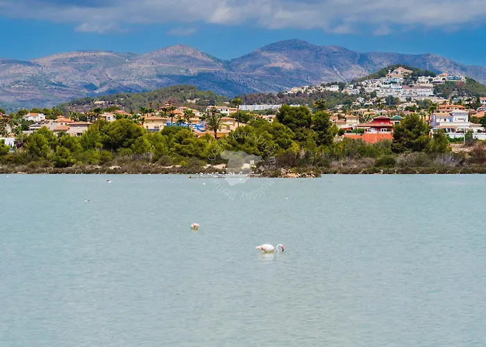 Costablancadreams Alexia In Appartement *