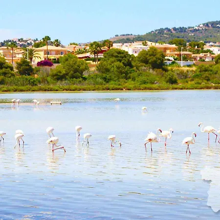 Costablancadreams Alexia In *